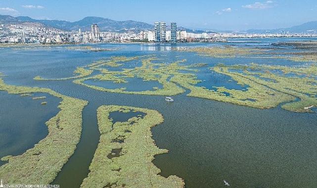 İzmir ve Lubliyana kuraklığa karşı güçlerini birleştirecek