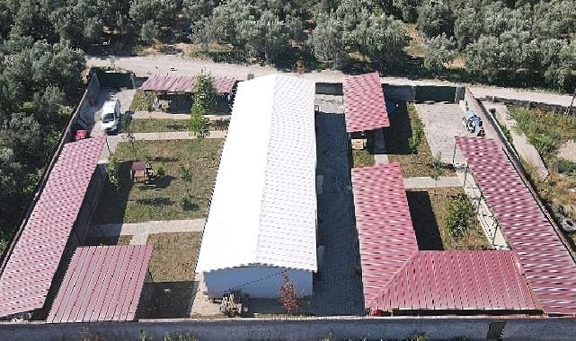 İznik Belediyesi’nden sokak hayvanlarına tam teşekküllü merkez