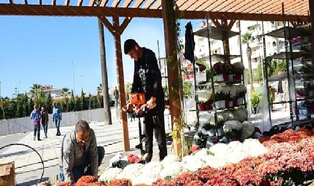 Karabağlar belediyesi 100 Yıl Uğur Mumcu Parkı kasımpatlarıyla renklendi