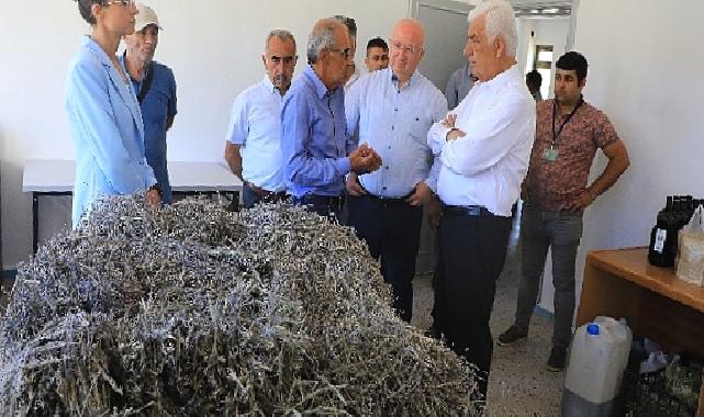 Muğla’da Büyükşehir Belediyesi’nin Tarımsal Güçbirliği Projesi Üreticiye Kazandırıyor