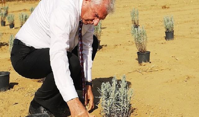 Ödemiş Belediyesi’nden “Tıbbi-Aromatik Bitki Bahçesi” hamlesi