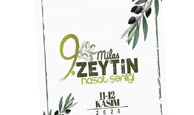 9 Milas zeytin hasat şenliği heyecanı başlıyor