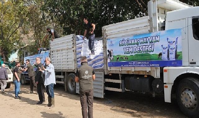 Aydın büyükşehir belediyesi’nden selden etkilenen üreticiye yem desteği