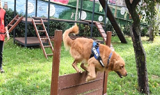 Bak-kadıköy yeni üyesi coco