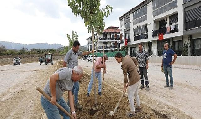 Başkan Ceritoğlu sengel saha çalışmalarını yerinde inceledi