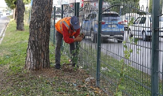 Büyükşehir’den Evliya Çelebi Caddesi’nde refüj çalışması