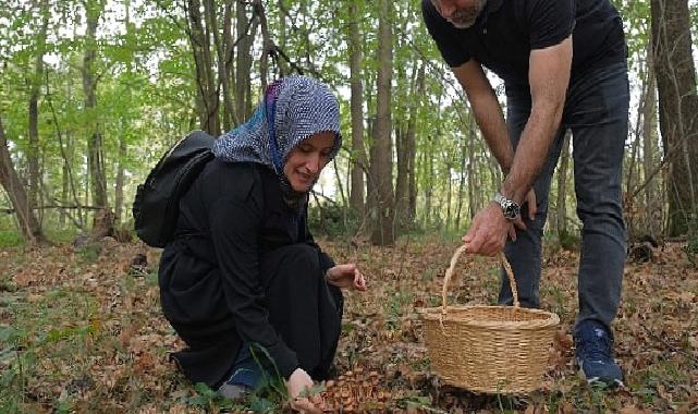 Kocaeli’nde Ormanya’da mantar avı düzenlendi