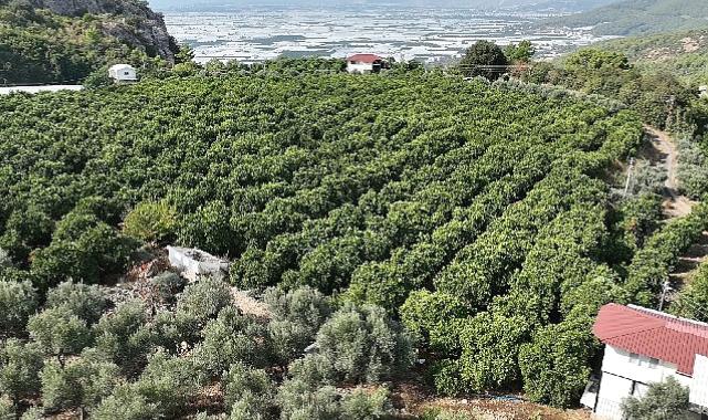 Kumlucalı üreticiler kapalı devre sulama tesisinden memnun