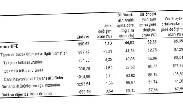 Tarım ürünleri üretici fiyat endeksi (Tarım-ÜFE) yıllık yüzde 62,56 arttı, aylık yüzde 1,13 azaldı