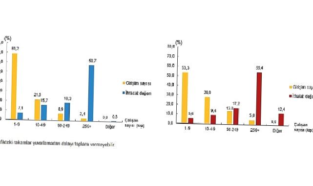 Hizmet ihracatının yüzde 58,7’sini, hizmet ithalatının yüzde 55,4’ünü büyük ölçekli girişimler yaptı