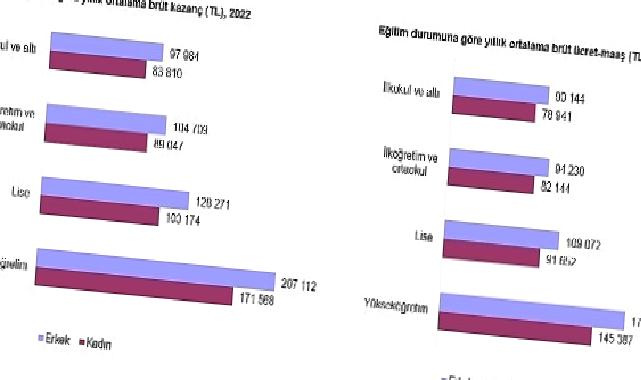 Kazanç Yapısı İstatistikleri, 2022