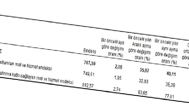 Tarımsal girdi fiyat endeksi (Tarım-GFE) yıllık yüzde 40,11, aylık yüzde 2,06 arttı