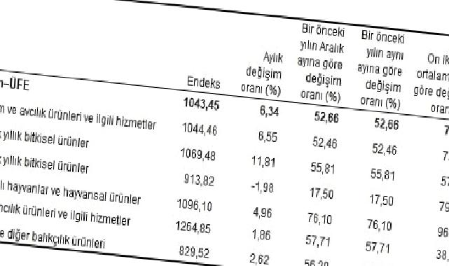 Tarım ürünleri üretici fiyat endeksi (Tarım-ÜFE) yıllık yüzde 52,66, aylık yüzde 6,34 arttı