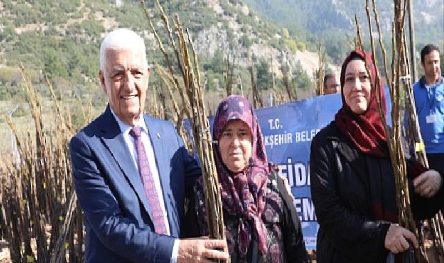 Muğla Büyükşehir Belediyesi 53 Bin Adet Meyve Fidanı Dağıtıyor